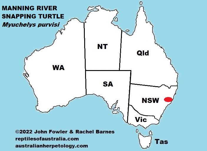 Approximate distribution of Manning River Snapping Turtle (Myuchelys purvisi)